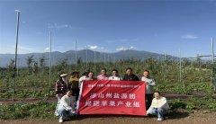 科技服务进四川凉山 助力农业高质量发展